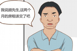 阳谷融资清欠服务